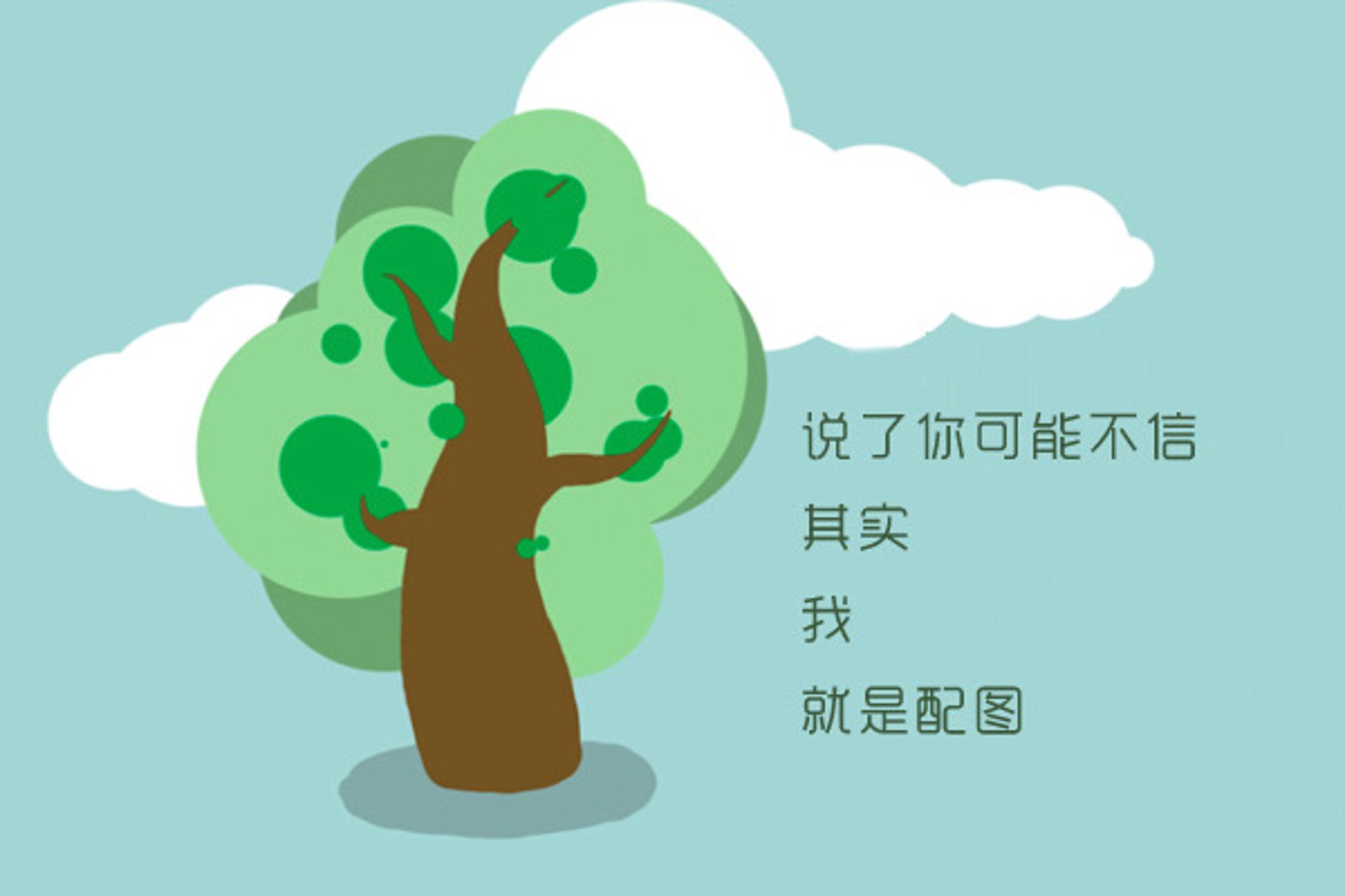 传宁网络科技
